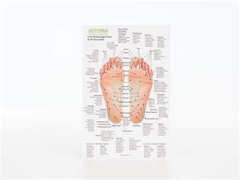 Hand And Foot Reflexology On Cardstock 85x55 Sheet Foot Reflexology Reflexology Chart