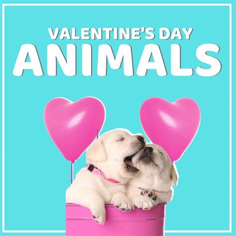 Pin On Valentines Day Animals