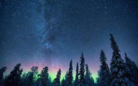 Wallpaper Northern Lights Starry Sky Trees Hd Widescreen High