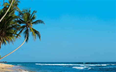 Download Wallpaper 3840x2400 Palm Palm Trees Beach Tropics Shore