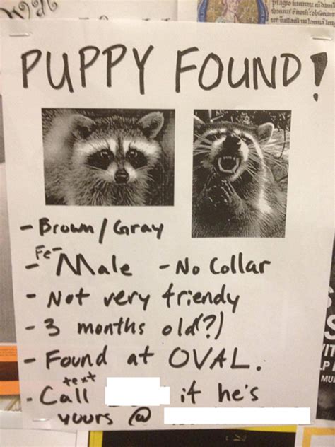 The result of outsourcing the missing poster responsibility to your kid. 20 Funny Lost Pet Signs