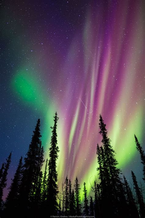 Alaska Aurora Borealis Photo Tours Northern Lights Wallpaper