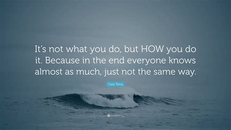 Caio Terra Quote “its Not What You Do But How You Do It Because In