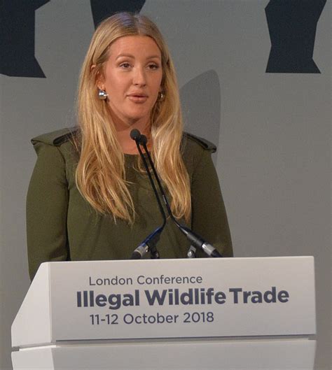 Fileillegal Wildlife Trade Conference London 2018 43433001240