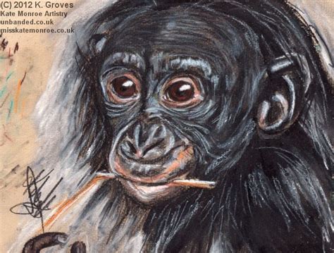 An a4 portrait drawn on to medium surface cartridge paper using a mixture of 2b5b pencils. Bonobo Great Ape Pastel Drawing Animal portrait | Animal drawings, Pet portraits, Great ape