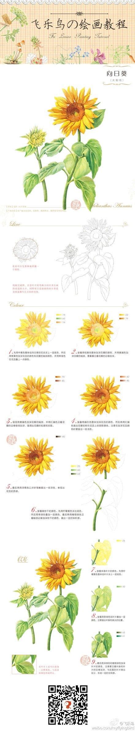 Learn the basics of pencil techniques, that will pencil drawing is the most basic way to start drawing, and is the perfect gateway for pen and ink, painting and more. step by step colored pencil drawing of a sunflower | 색연필 ...