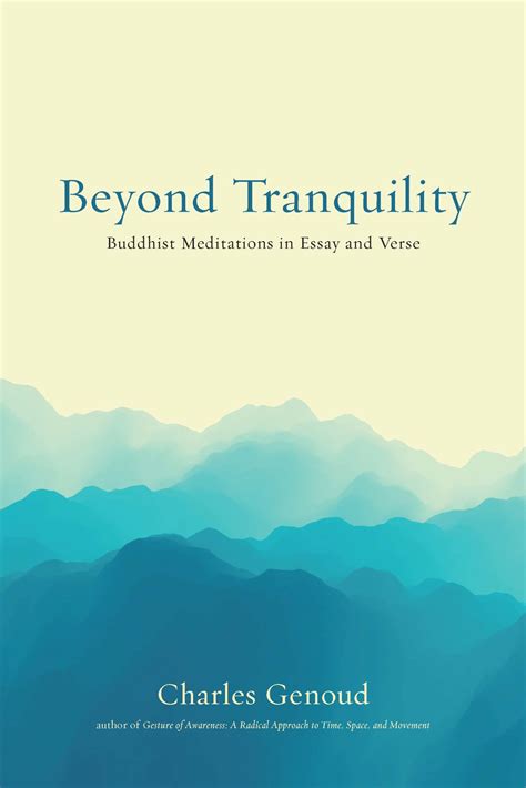 Beyond Tranquility The Wisdom Experience