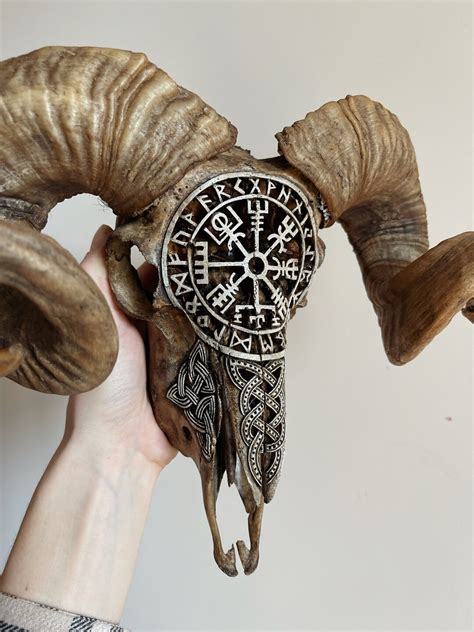 Real Ram Skull With Hand Carving Taxidermy Vegvisir Etsy