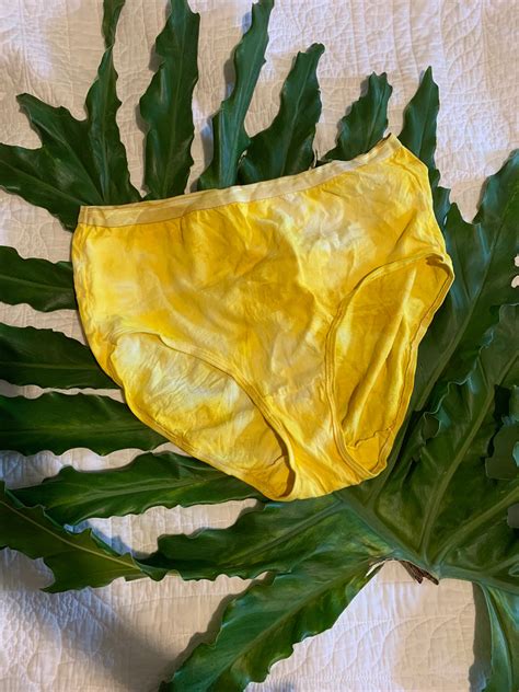 Magical Plant Dyed High Waist Panties Dyed With Avocado Beet Spinach