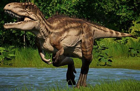 Anyone Else Think The Carchararodontosaurus Looks More Like Acrocanthosaurus Than The Actual One