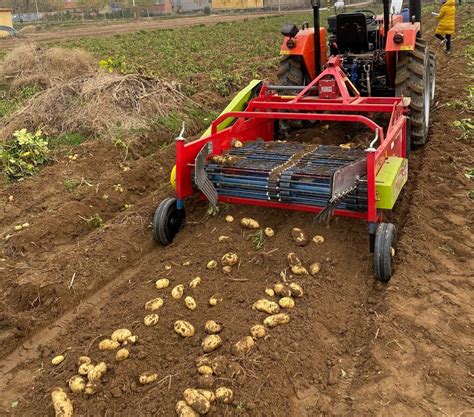 Automatic Combine Potato Harvester For 55 80hp Tractor Farm Machinery