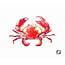 Stock Illustration  Of Cancer Crab