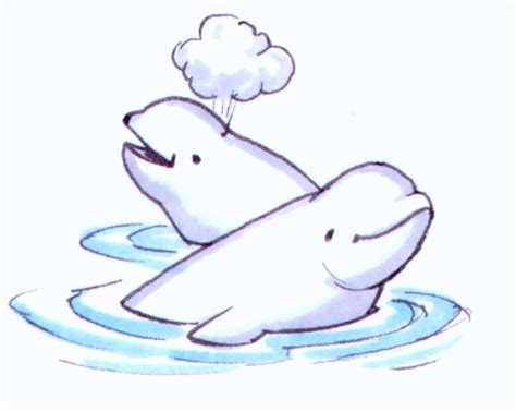 Beluga Whale Drawing At Getdrawings Free Download