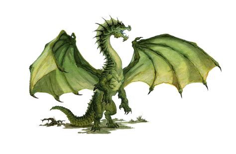 Dragon Green From The Dandd 5e Monster Manual Art By Daren Bader