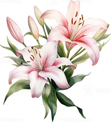 Lilies Flowers Watercolor Ai Generate 25860347 PNG