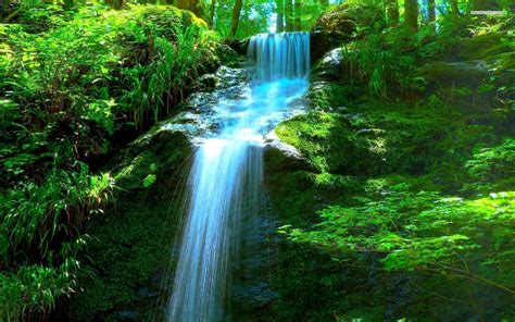 Forest Waterfall Wallpapers Wallpaper Cave
