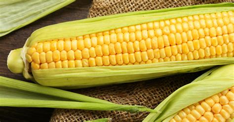 If you cat likes to eat corn let them, but only in very small amounts. Can Dogs Eat Corn? | Purina