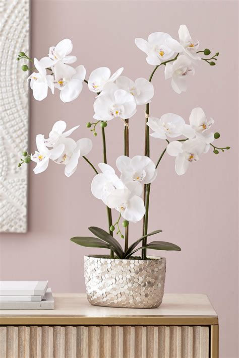 Buy Artificial Orchid In Hexagon Pot From The Next Uk Online Shop