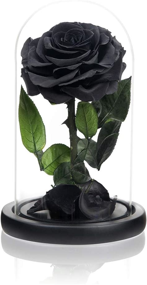 Handmade Preserved Roses In Glass Dome Long Lasting Black
