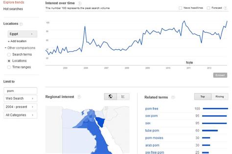 Egypt Takes Hard Line On Internet Pr0n Calls For Total Ban • The Register