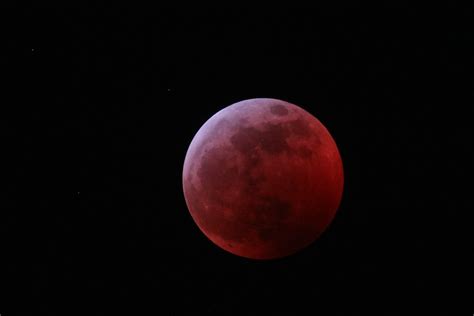 Super Wolf Blood Moon Lunar Eclipse 2019 Michael Wigg Flickr