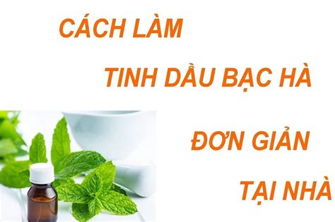 Hướng Dẫn Cách Làm Tinh Dầu Từ Lá Bạc Hà Tại Nhà Cực Dễ