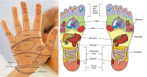 Common Ailments And Their Reflexology Points