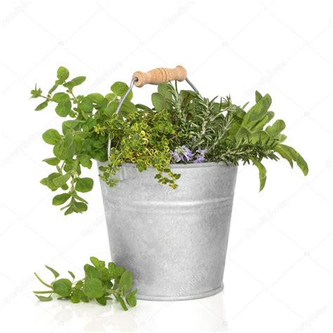 Herb Leaf Mixture Stock Photo By ©marilyna 3535180