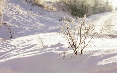 Wonderful Winter Landscape Stock Photo Image Of Wintertime 71305582