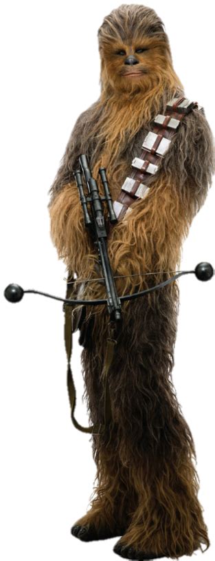 How many photos are there of chewbacca in star wars? Chewbacca | Death Battle Fanon Wiki | FANDOM powered by Wikia