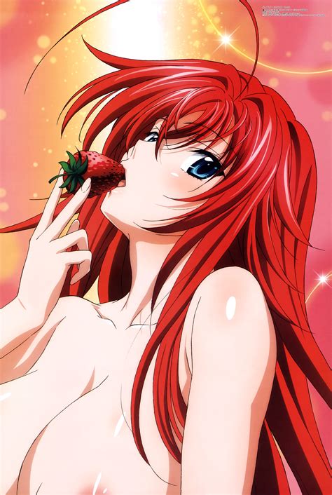 Megami Magazine May 2015 Anime Posters Highschool Dxd