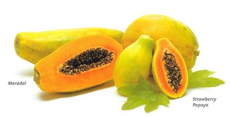 A Guide To Papaya Varieties Tips And Recipes The Vegan Atlas