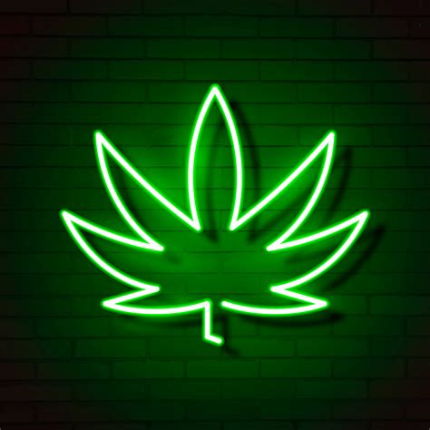 Medical Cannabis Logo Leaf Glowing Neon Sign 632818 Vector Art At Vecteezy