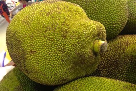 Thieves Find Lucrative Use For Jackfruit In The Philippines Lonely Planet
