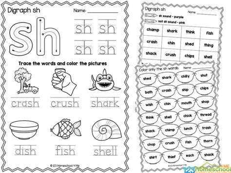 Free Printable Sh Sound Words Digraph Worksheets