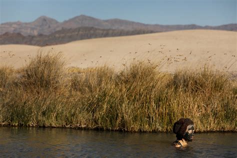 The Amargosa River Defies The Desert The New York Times