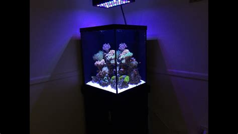 How To Start A Reef Tank Marineland 37 Gallon Cube Reef Build Youtube