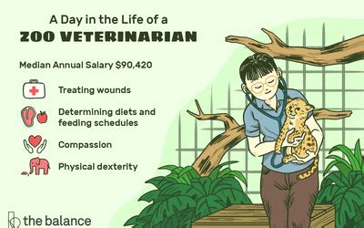 Aquatic Veterinarian Job Description: Salary, Skills, More in 2020