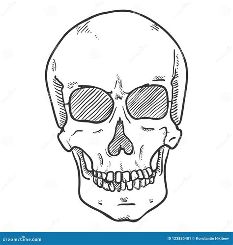 Vector Sketch Illustration Human Skull Front View Stock Vector