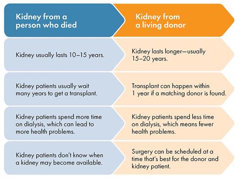 How Old To Donate A Kidney