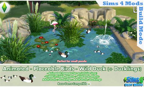 Sims 4 Animated Placeable Birds Wild Duck Ducklings Best Sims Mods
