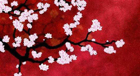 Wallpaper Japan Cherry Blossoms Wallpapersafari
