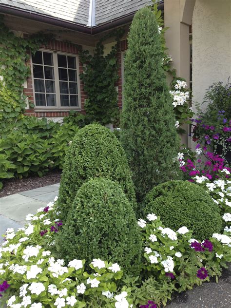 Topiary Evergreens Front Yard Landscaping Design Garden Front Of