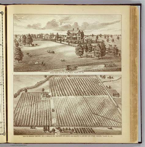 Ranches, Visalia, Tulare, Cal. - David Rumsey Historical Map Collection