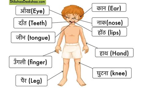 भारत के सभी राज्य और उनकी राजधानियाँ. Learn hindi lesson 23 - Parts of the body ( शरीर के अंग ...
