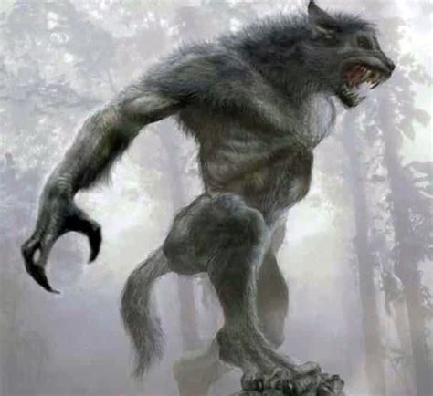 Werewolf Werewolf Art Werewolf Vs Vampire Fantasy Monster