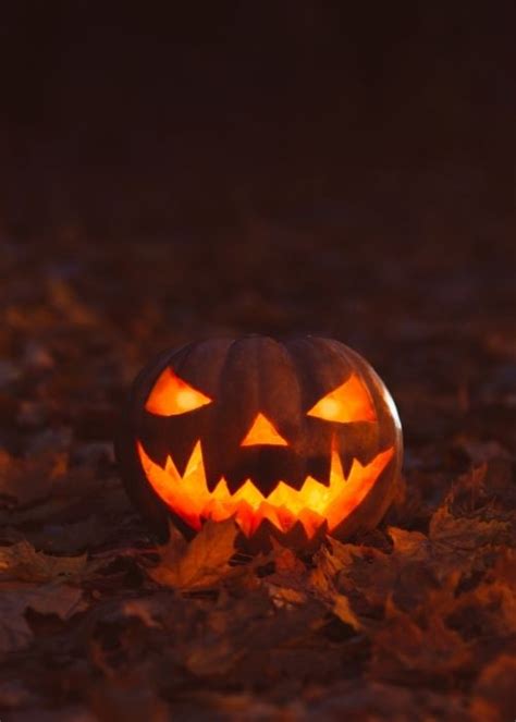 The Origins Of Halloween Traditions A Brief History The Horror Dome