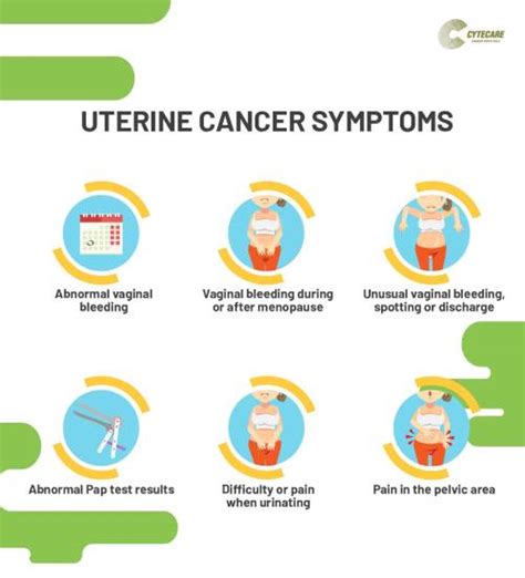 What Is Uterine Cancer And Endometrial Cytecare