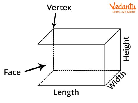 Shape Of A Cuboid Learn Definition Properties And Examples