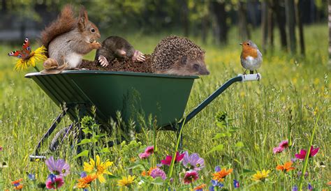 Große tierarten, wie hirsche oder löwen erheben sich majestätisch über ihren garten empor und vermitteln ein gefühl von erhabenheit und stärke. Tiere Fuer Den Garten - Garten Design Idee Fotos